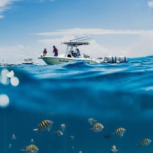 white and blue boat on sea during daytime